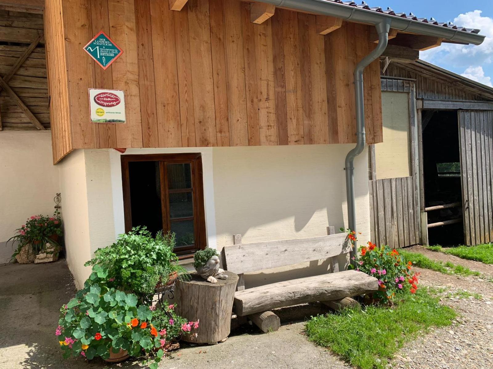 Biohof Gölly Villa Neumarkt in Steiermark Dış mekan fotoğraf